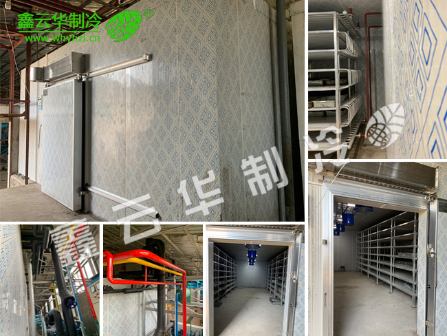 湖北仙桃農業(yè)速凍庫項目展示